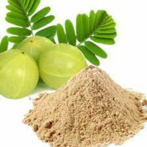 Amla Powder - 100g